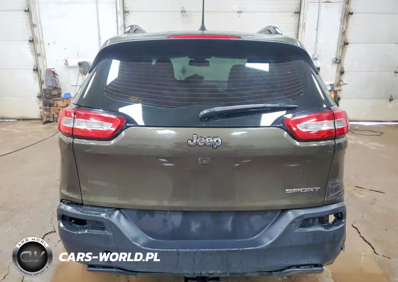 2016 Jeep Cherokee Sport VIN:1C4PJLAB5GW114158 - 6