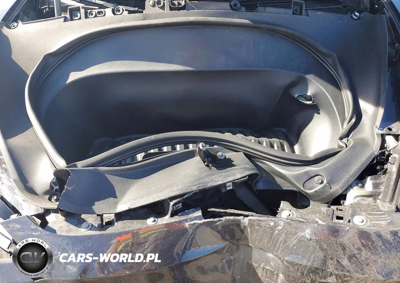 2025 Tesla Model 3 VIN:5YJ3E1EAXSF982839 - 11