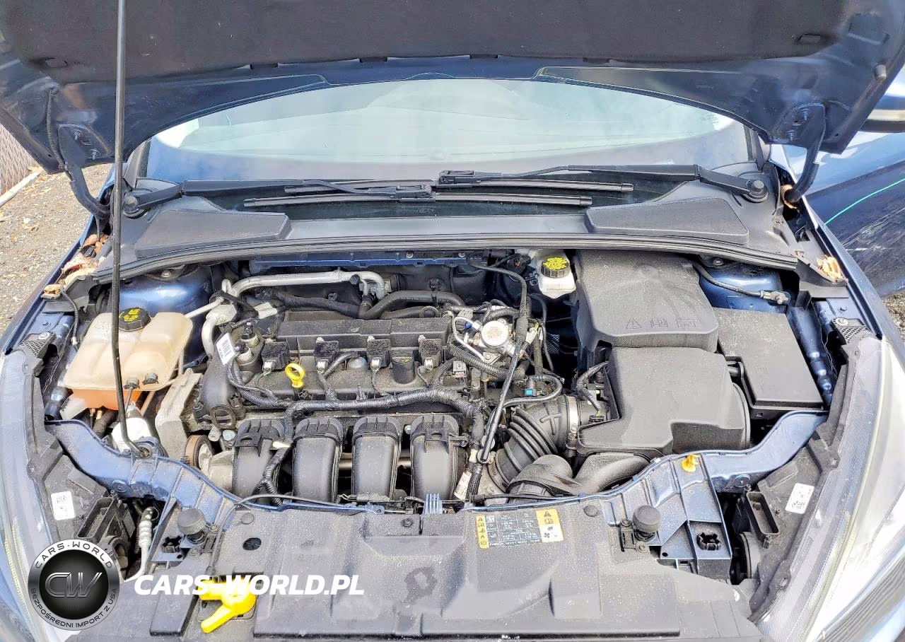 2018 Ford Focus Sel VIN:1FADP3M25JL214126 - 11