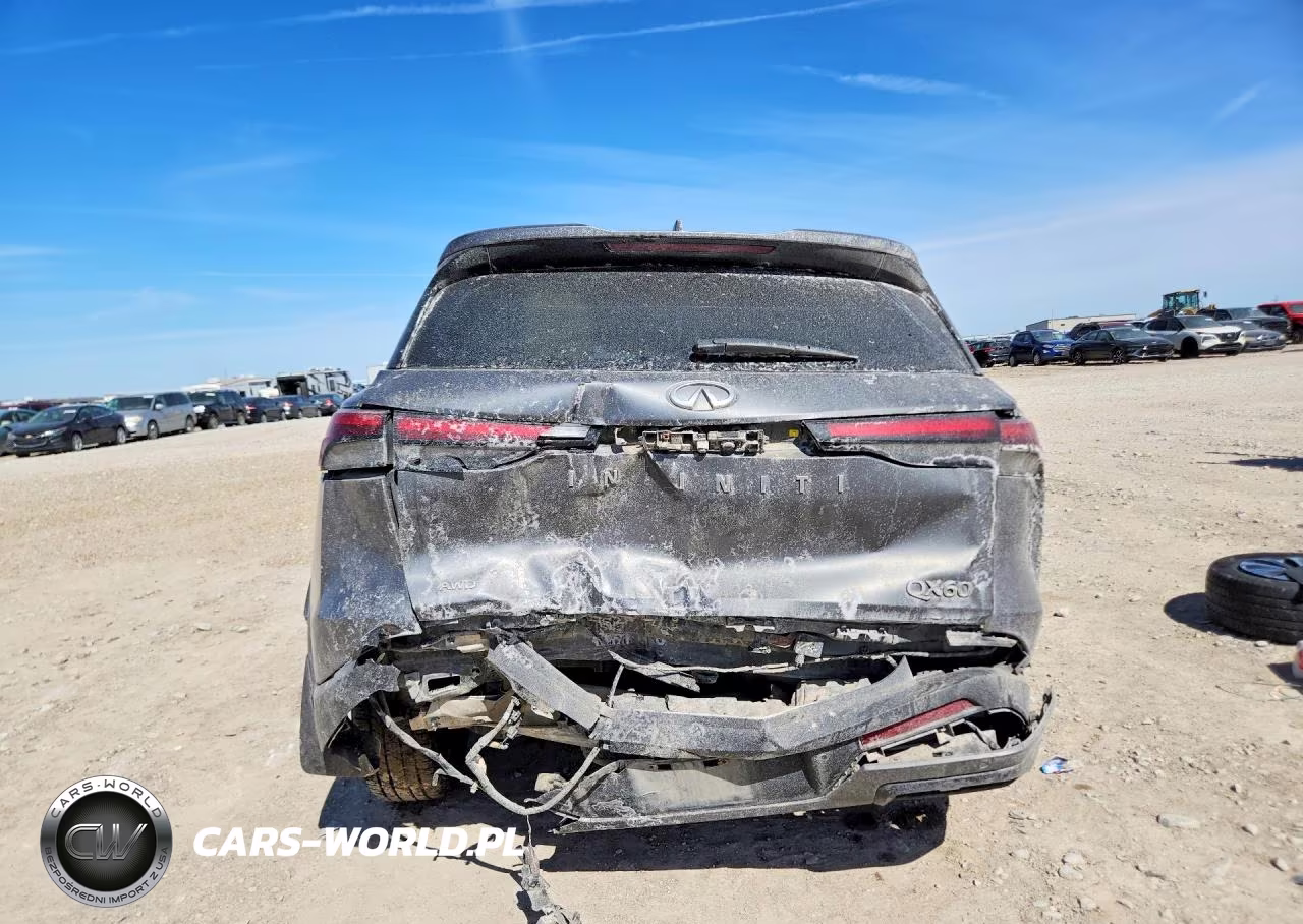 2023 Infiniti Qx60 Pure VIN:5N1DL1ES3PC346332 - 6