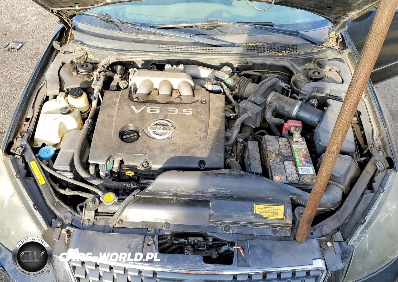 2005 Nissan Altima 3.5 Se VIN:1N4BL11E05C954419 - 11