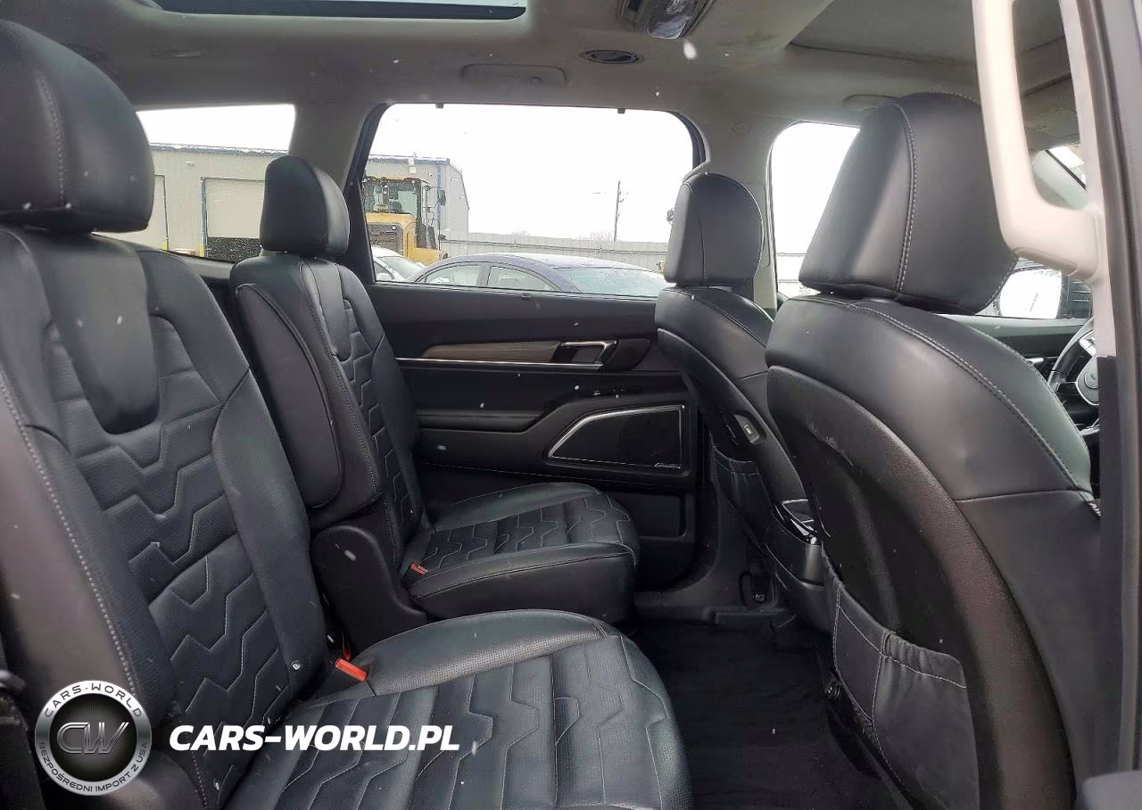 2021 Kia Telluride Sx VIN:5XYP5DHC6MG189632 - 11