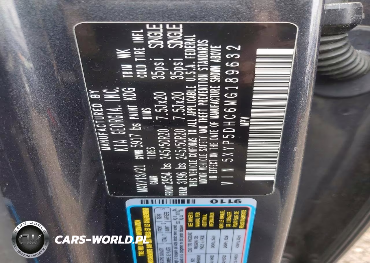 2021 Kia Telluride Sx VIN:5XYP5DHC6MG189632 - 13