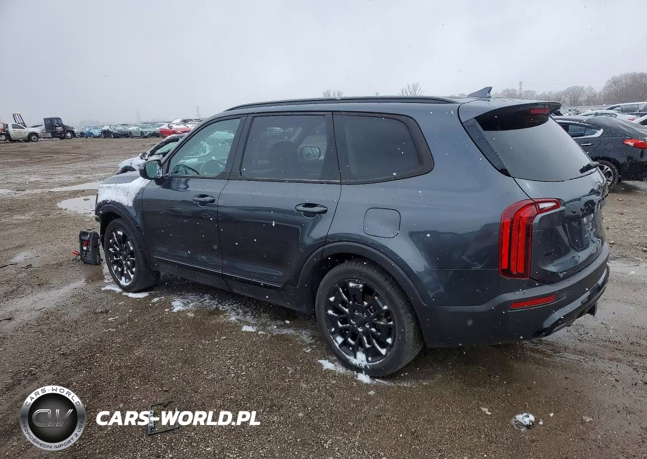 2021 Kia Telluride Sx VIN:5XYP5DHC6MG189632 - 2