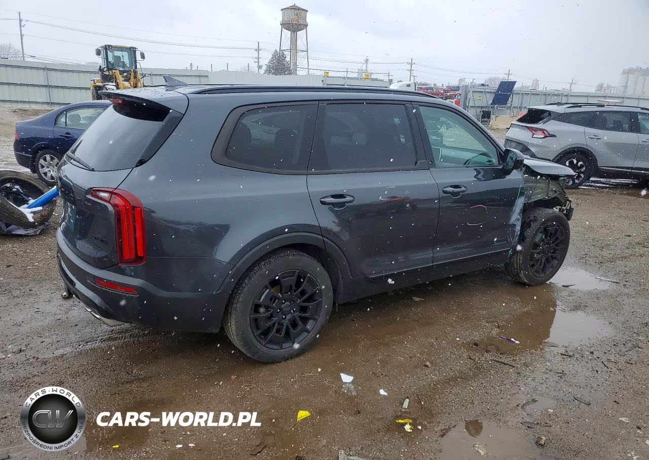 2021 Kia Telluride Sx VIN:5XYP5DHC6MG189632 - 3