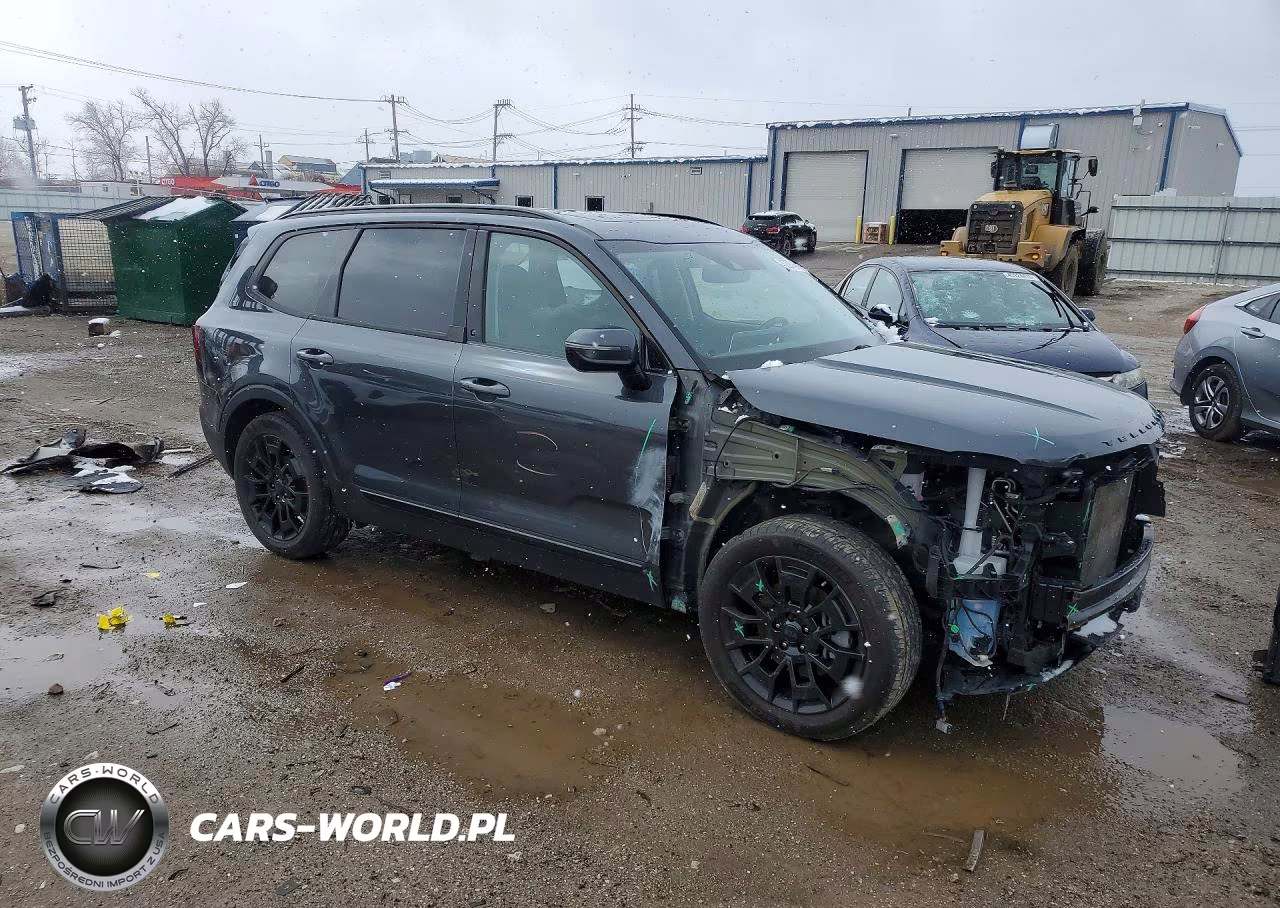 2021 Kia Telluride Sx VIN:5XYP5DHC6MG189632 - 4