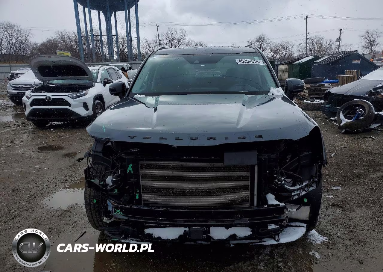 2021 Kia Telluride Sx VIN:5XYP5DHC6MG189632 - 5