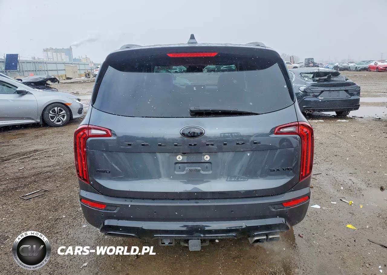 2021 Kia Telluride Sx VIN:5XYP5DHC6MG189632 - 6