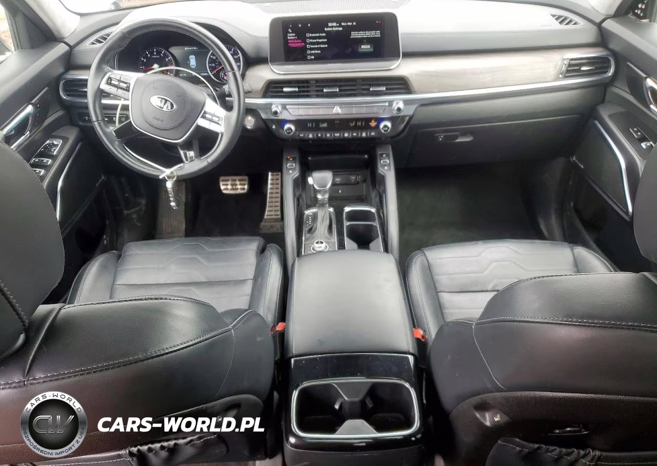 2021 Kia Telluride Sx VIN:5XYP5DHC6MG189632 - 8