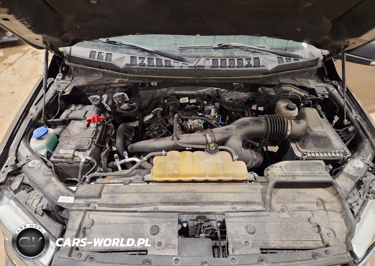 2020 Ford F150 Supercrew VIN:1FTEW1EP4LKE18179 - 11