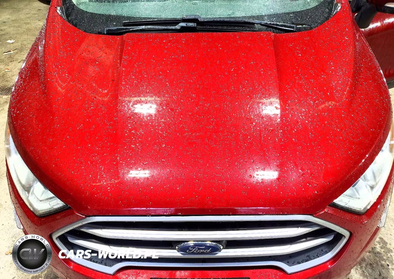 2019 Ford Ecosport Se VIN:MAJ6S3GL8KC260059 - 12