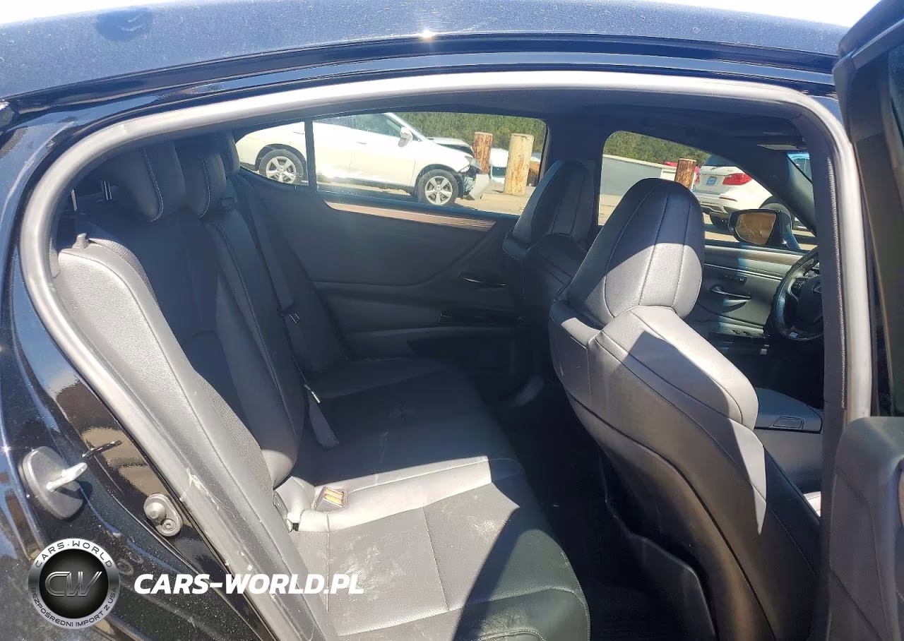 2024 Lexus Es 350 F Sport Handling VIN:58AJZ1B1XRU168471 - 10