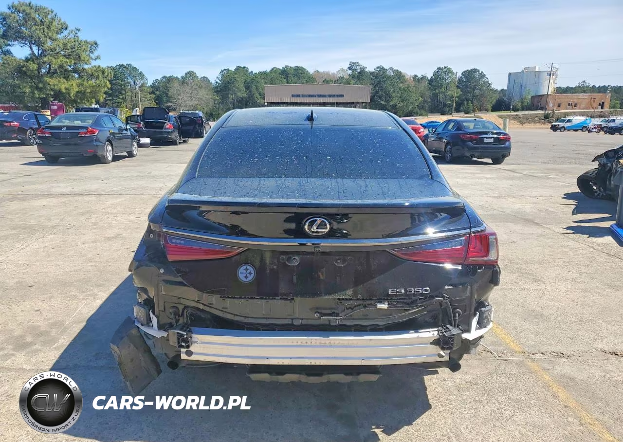2024 Lexus Es 350 F Sport Handling VIN:58AJZ1B1XRU168471 - 6