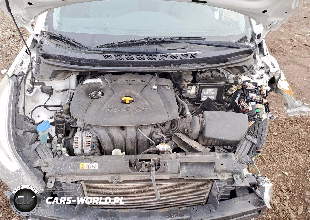 2016 Hyundai Elantra Se VIN:5NPDH4AE7GH781575 - 11