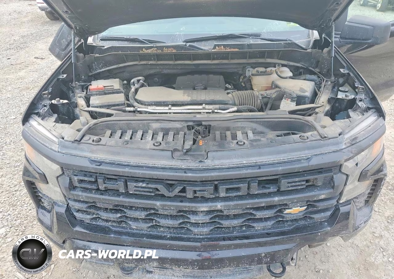 2024 Chevrolet Silverado K1500 Custom VIN:1GCPDBEK8RZ259336 - 11