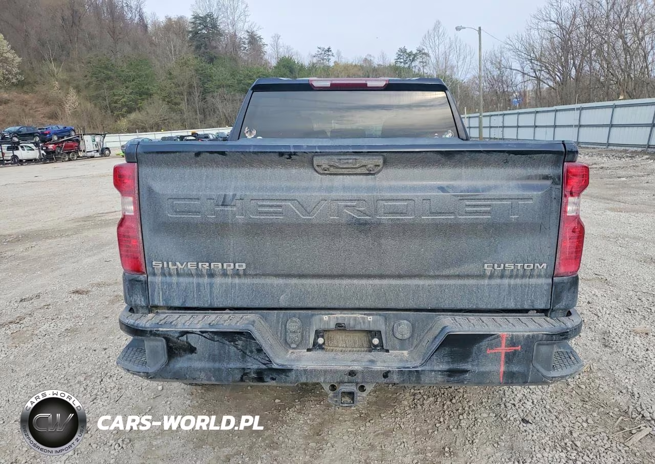 2024 Chevrolet Silverado K1500 Custom VIN:1GCPDBEK8RZ259336 - 6