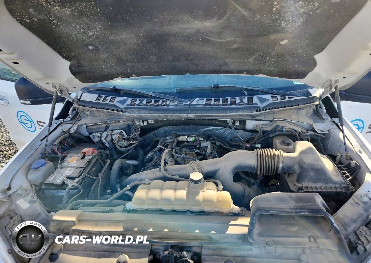 2019 Ford F150 Supercrew VIN:1FTEW1EP8KFD33661 - 11