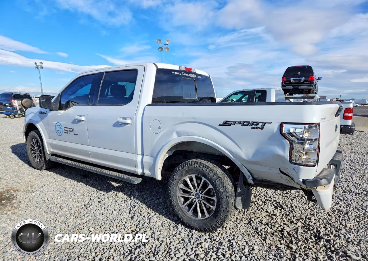 2019 Ford F150 Supercrew VIN:1FTEW1EP8KFD33661 - 2