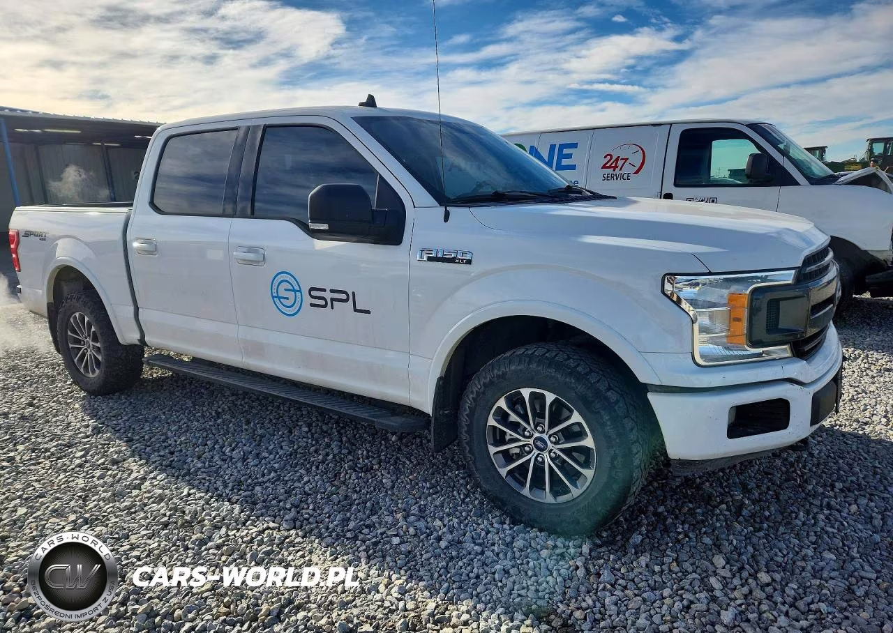 2019 Ford F150 Supercrew VIN:1FTEW1EP8KFD33661 - 4