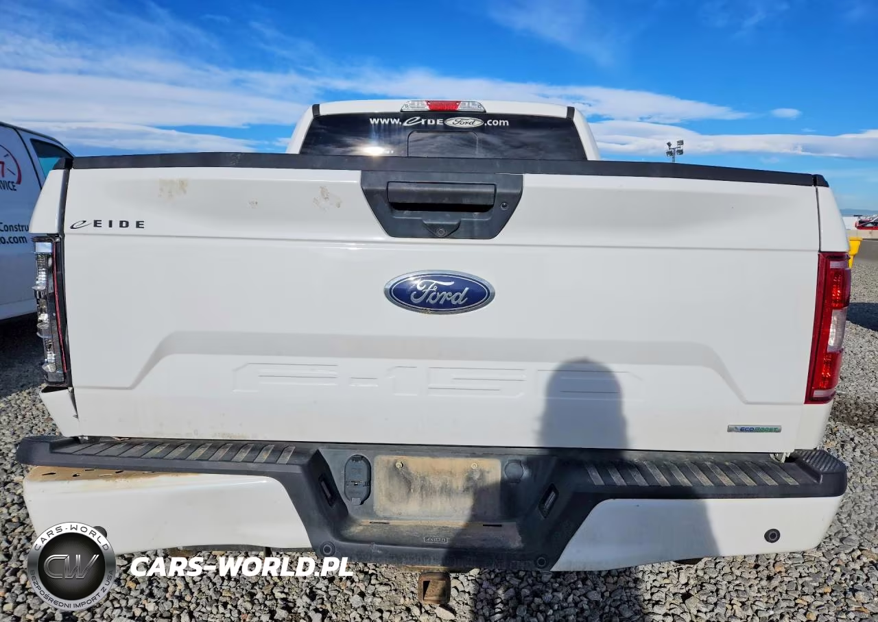 2019 Ford F150 Supercrew VIN:1FTEW1EP8KFD33661 - 6