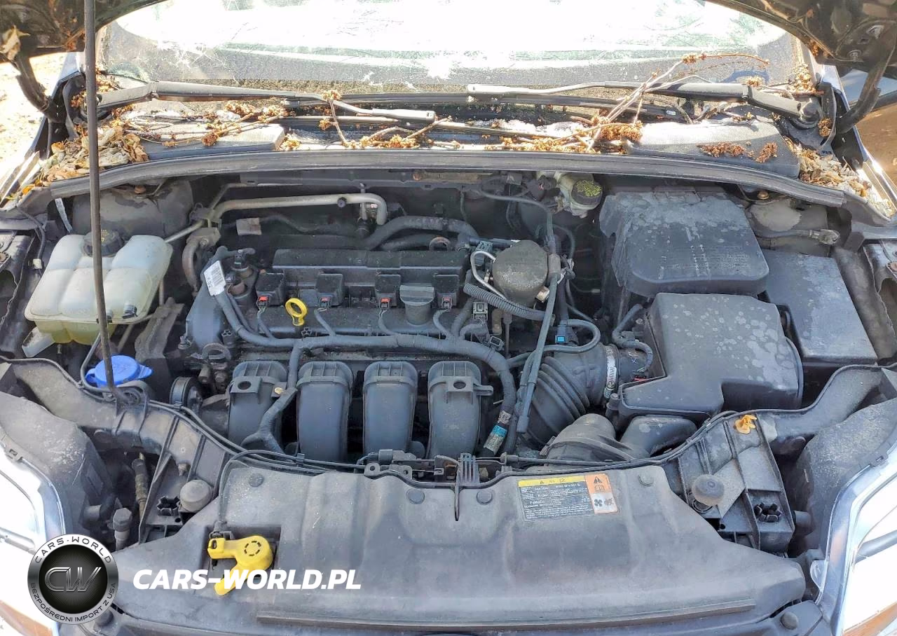 2014 Ford Focus Se VIN:1FADP3F25EL128480 - 11