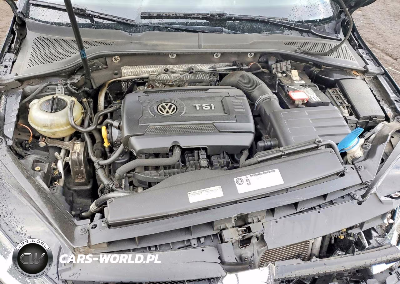 2015 Volkswagen Golf Sportwagen S VIN:3VWC17AU3FM518661 - 11