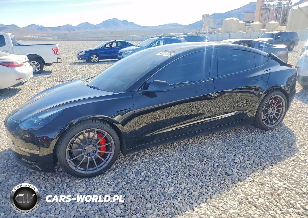2023 Tesla Model 3