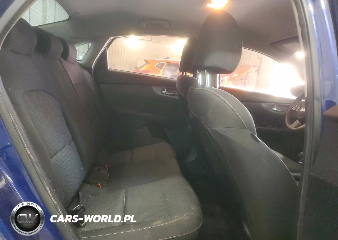 2019 Kia Forte Lxs VIN:3KPF24AD1KE133406 - 10