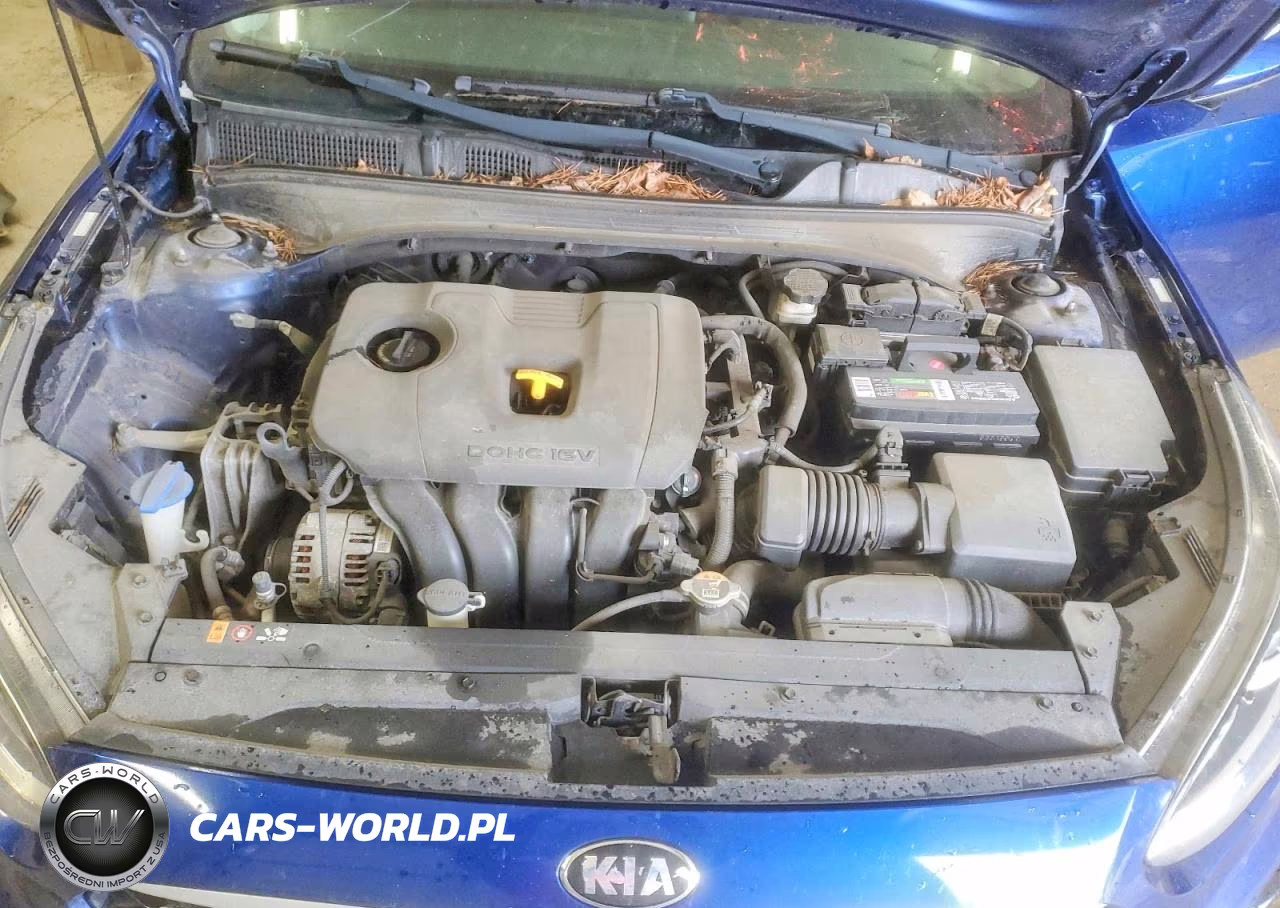 2019 Kia Forte Lxs VIN:3KPF24AD1KE133406 - 11