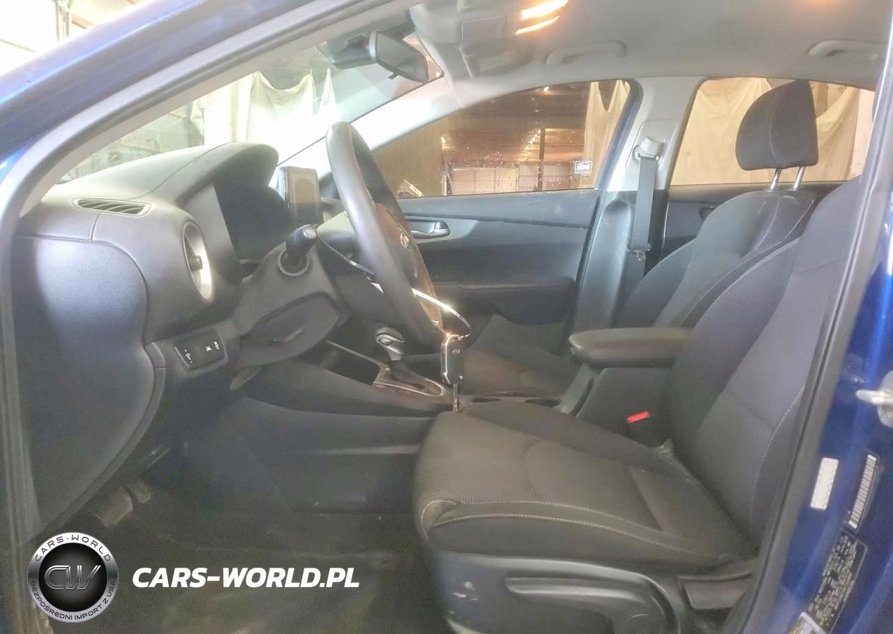 2019 Kia Forte Lxs VIN:3KPF24AD1KE133406 - 7
