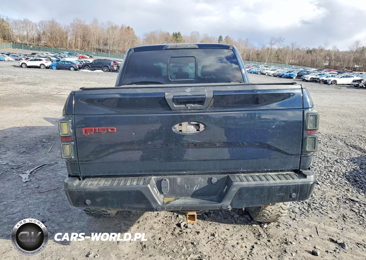 2017 Ford F150 Supercrew VIN:1FTEW1EF3HFA60354 - 6