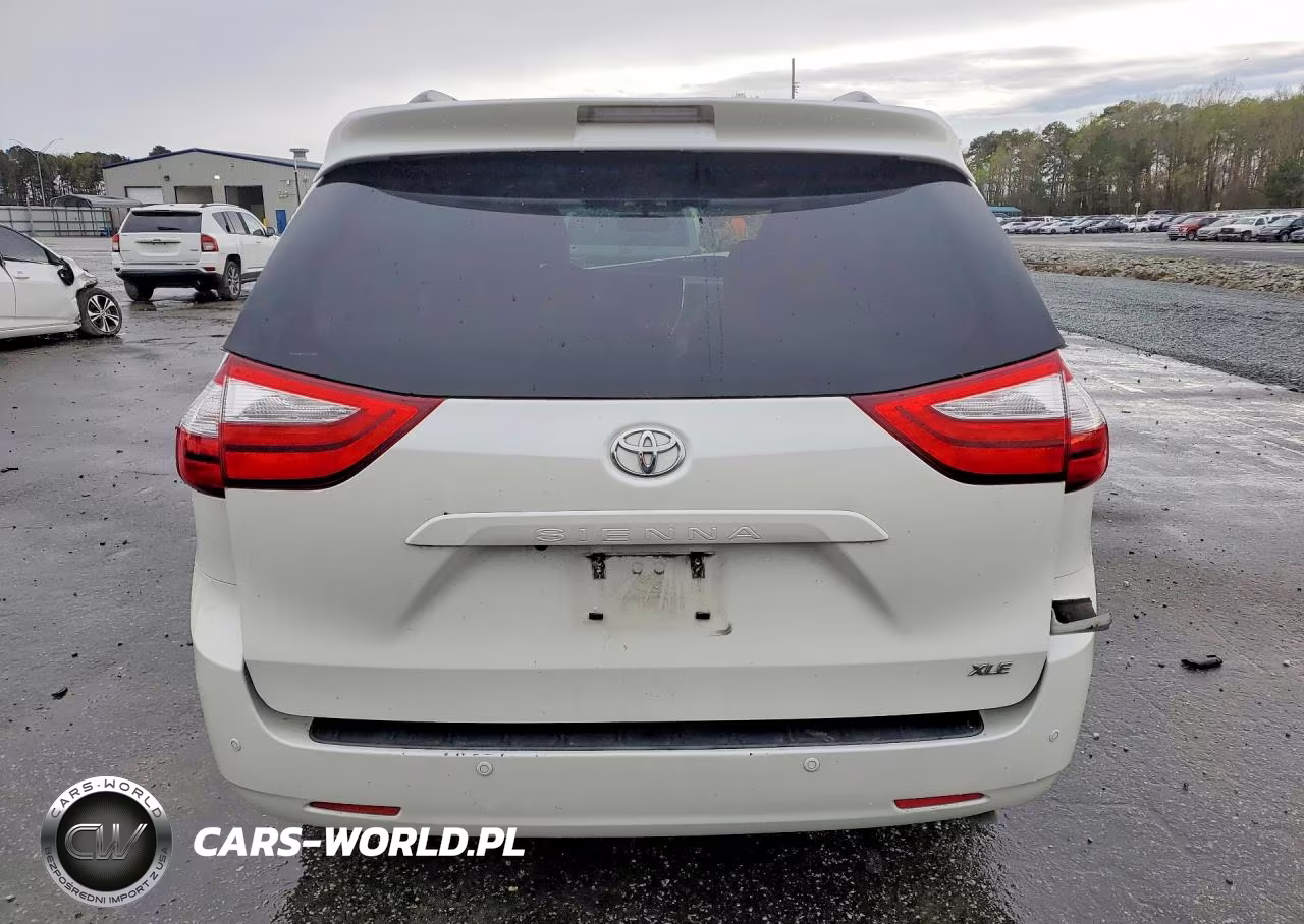 2016 Toyota Sienna Xle 8-Passenger VIN:5TDYK3DC0GS703639 - 6