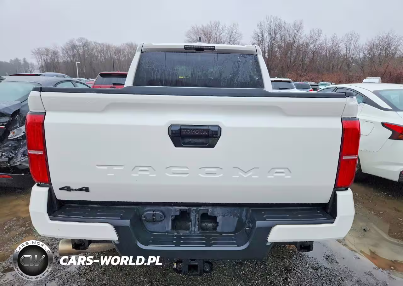 2024 Toyota Tacoma Trd Off-Road VIN:3TYLB5JN6RT017317 - 6