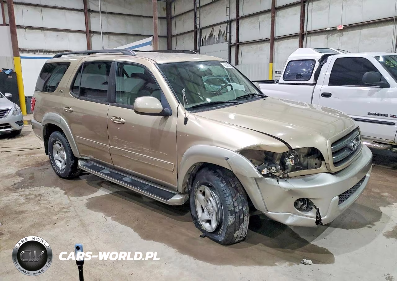 2002 Toyota Sequoia Sr5 VIN:5TDBT44A62S134389 - 4