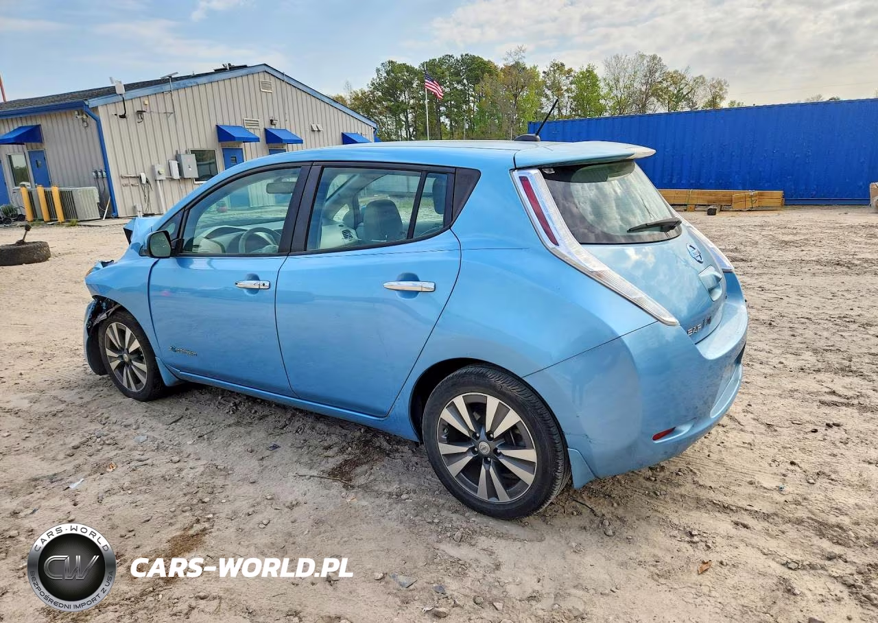 2015 Nissan Leaf Sv VIN:1N4AZ0CP9FC325603 - 2