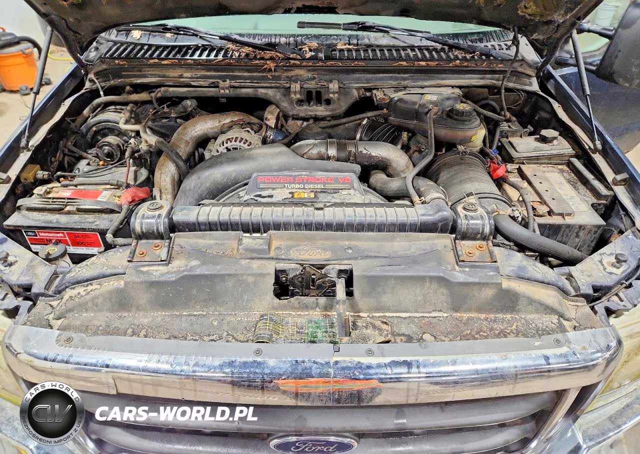 2004 Ford F250 Super Duty VIN:1FTNX21P44EB49352 - 11