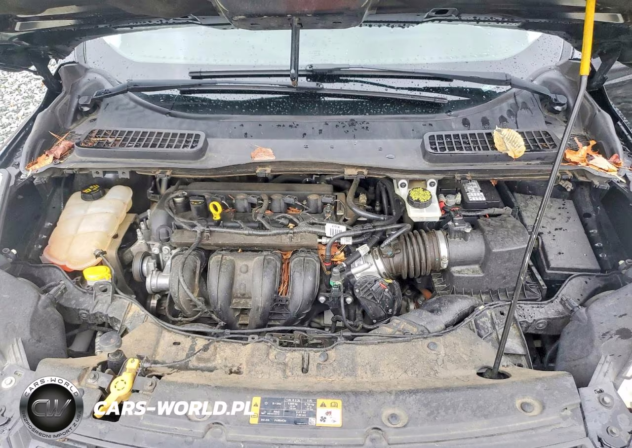 2016 Ford Escape S VIN:1FMCU0F79GUB66098 - 12