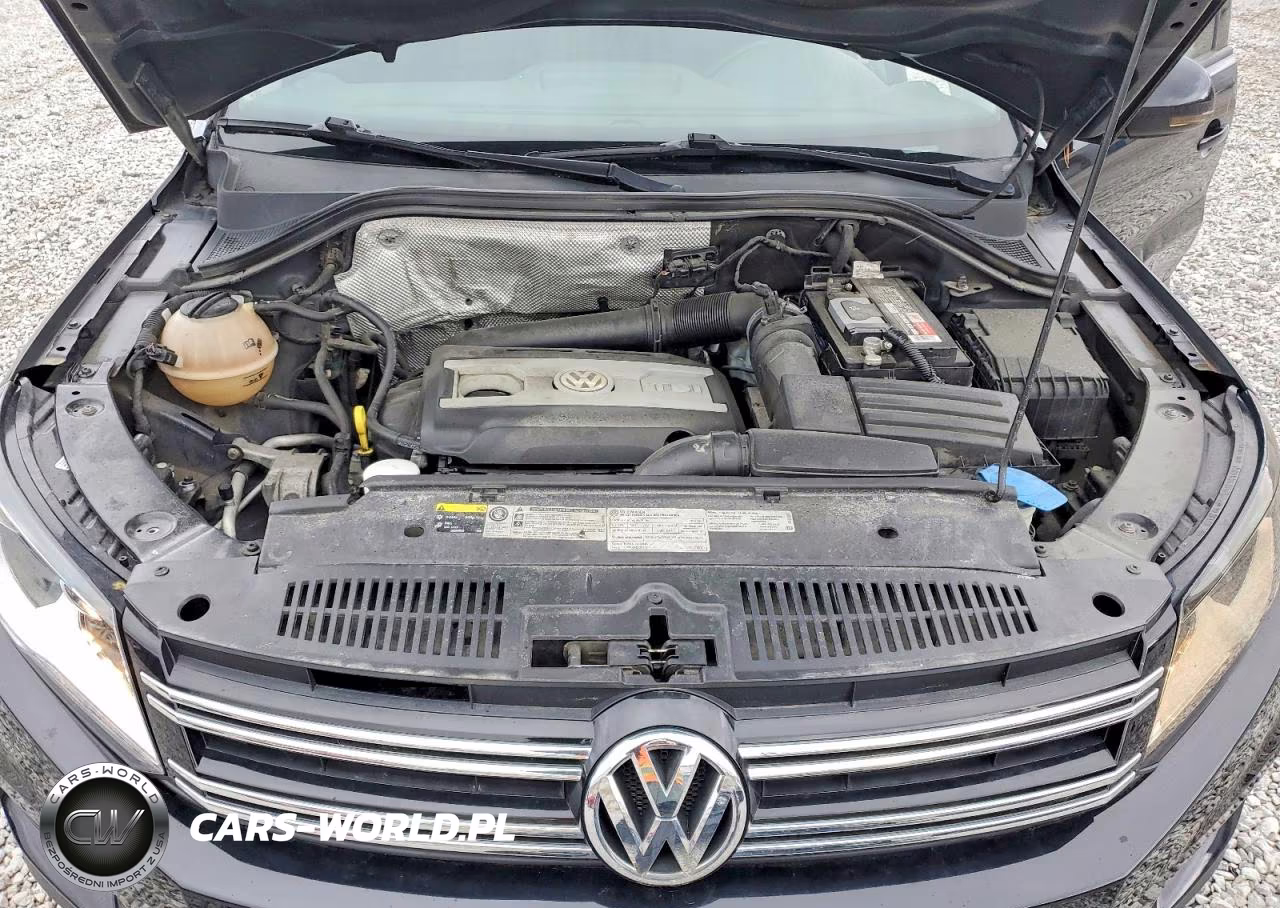 2014 Volkswagen Tiguan S VIN:WVGAV3AX5EW580543 - 12