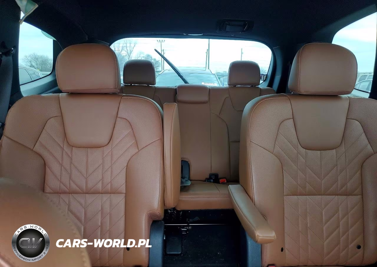 2025 Kia Telluride Ex X-Line VIN:5XYP3DGC1SG579736 - 10