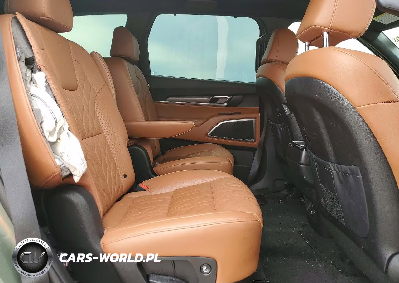2025 Kia Telluride Ex X-Line VIN:5XYP3DGC1SG579736 - 11