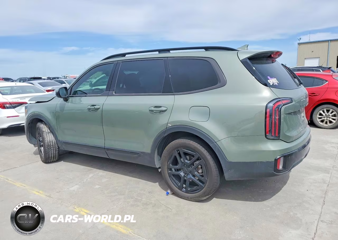 2025 Kia Telluride Ex X-Line VIN:5XYP3DGC1SG579736 - 2