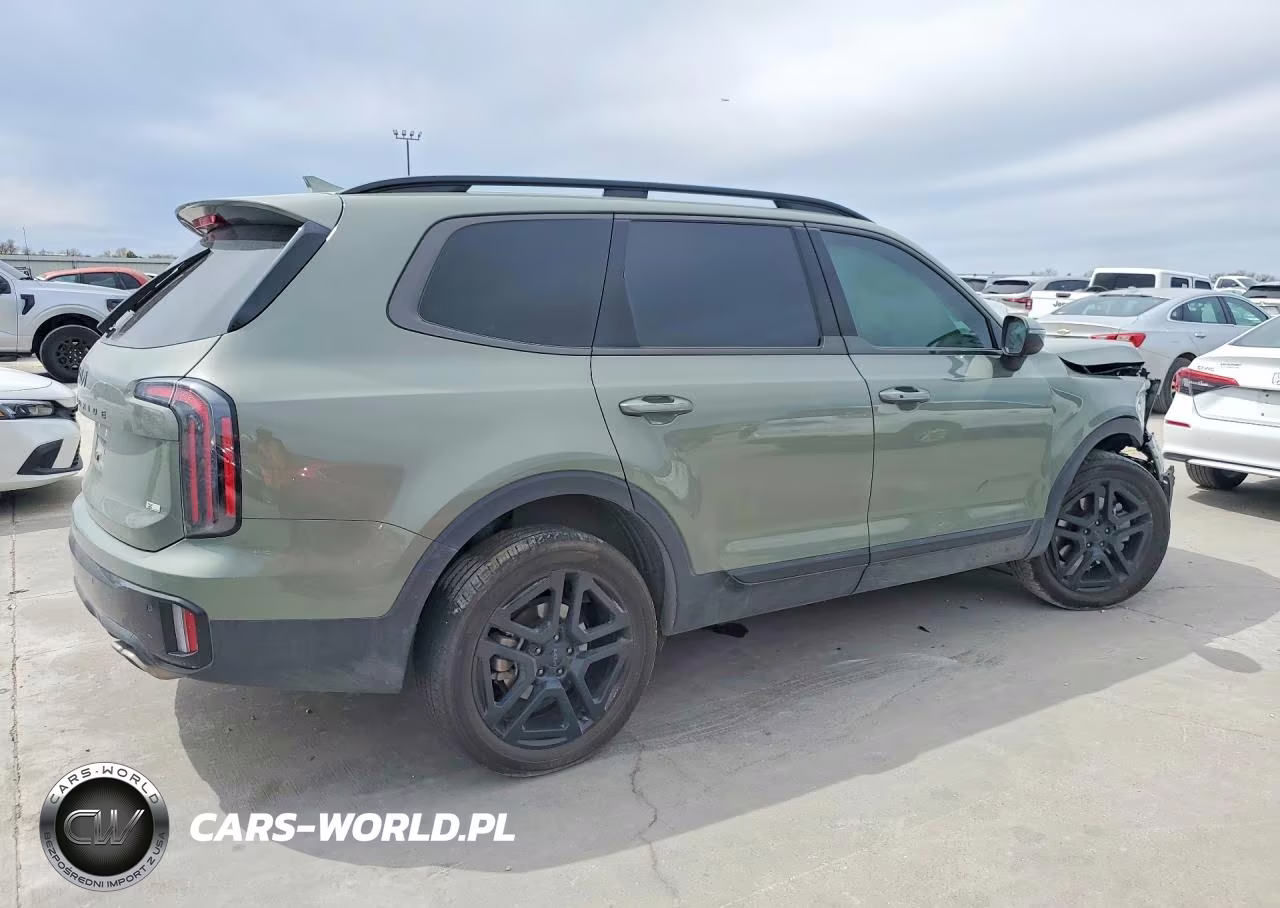 2025 Kia Telluride Ex X-Line VIN:5XYP3DGC1SG579736 - 3