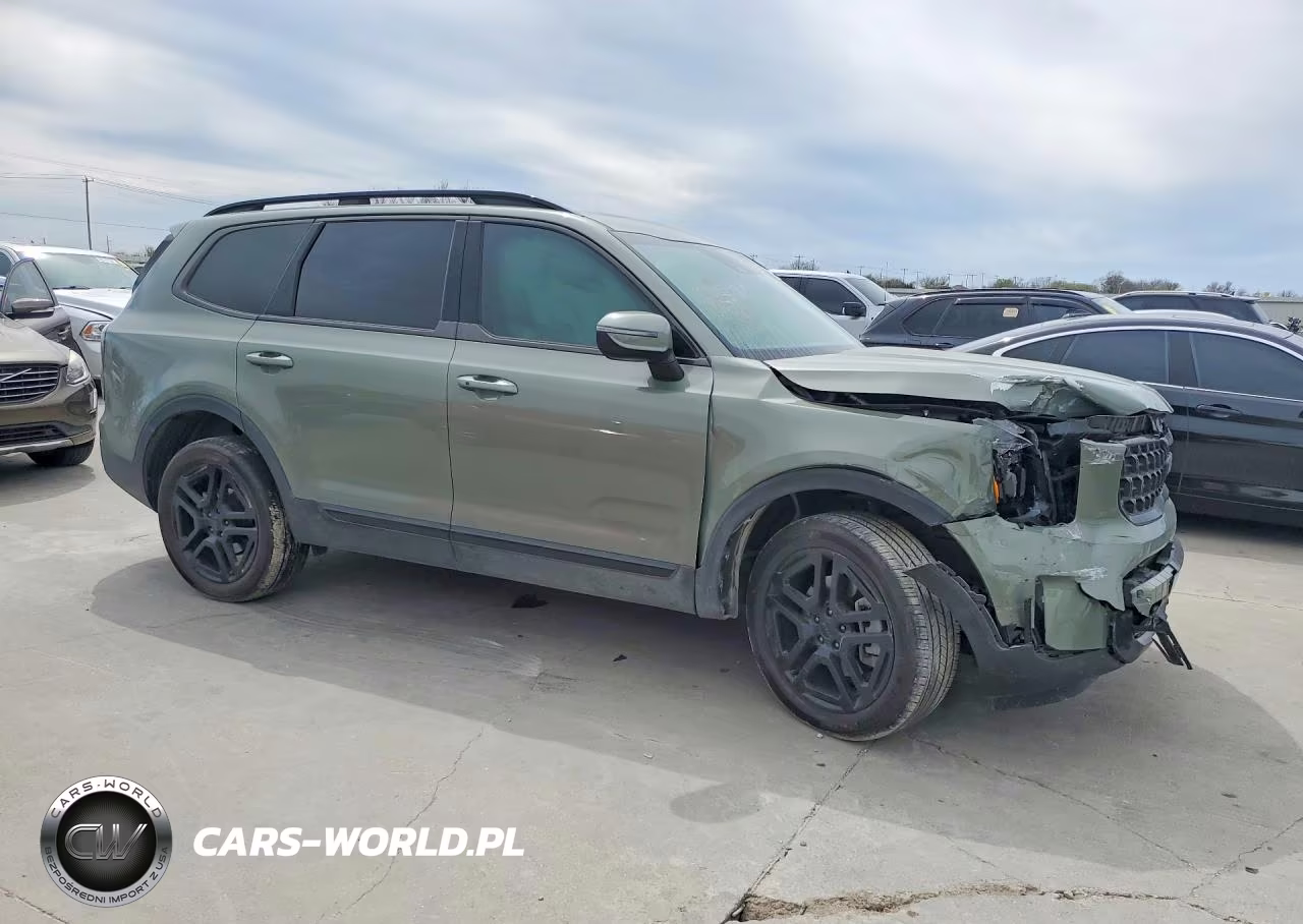 2025 Kia Telluride Ex X-Line VIN:5XYP3DGC1SG579736 - 4