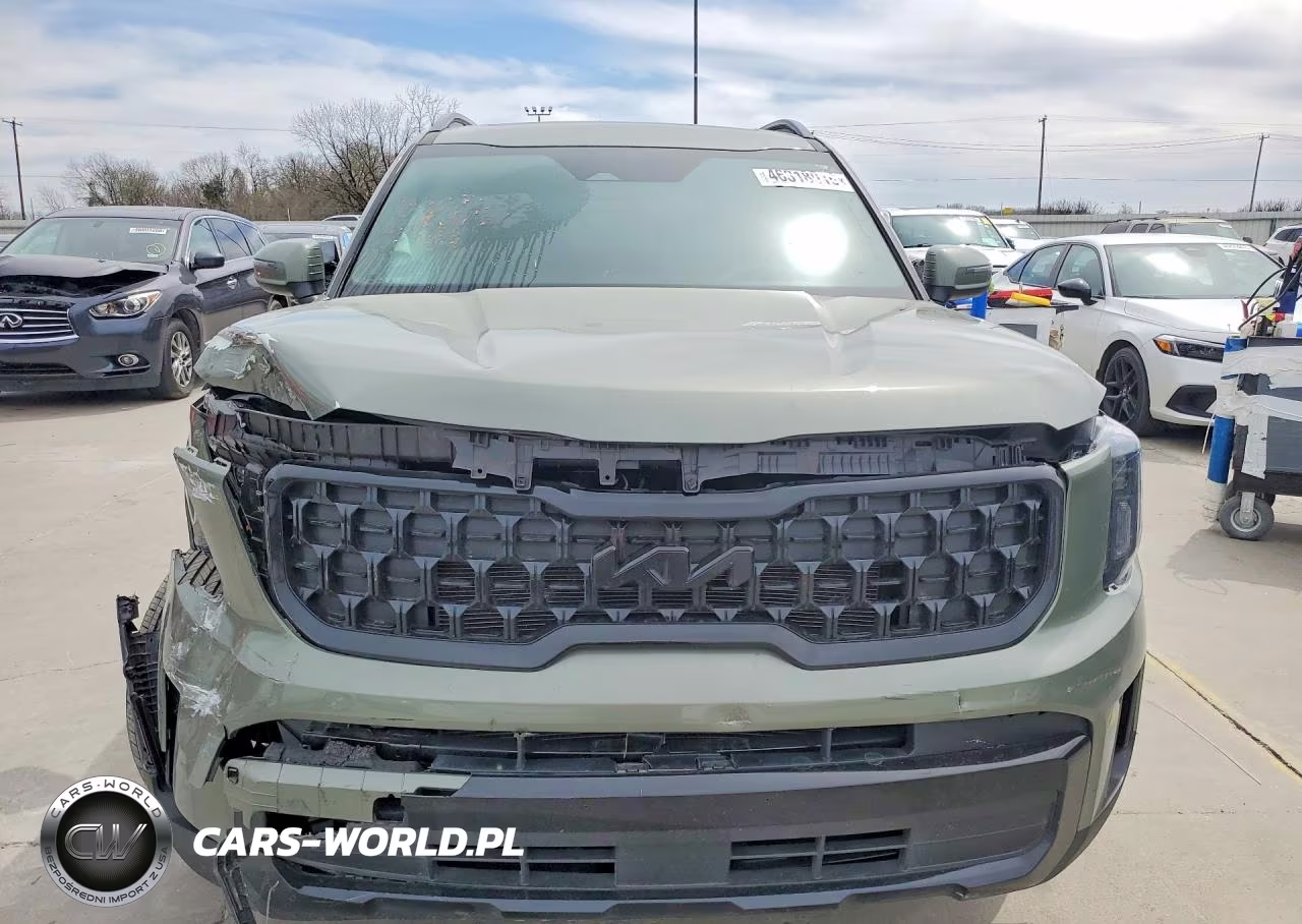 2025 Kia Telluride Ex X-Line VIN:5XYP3DGC1SG579736 - 5