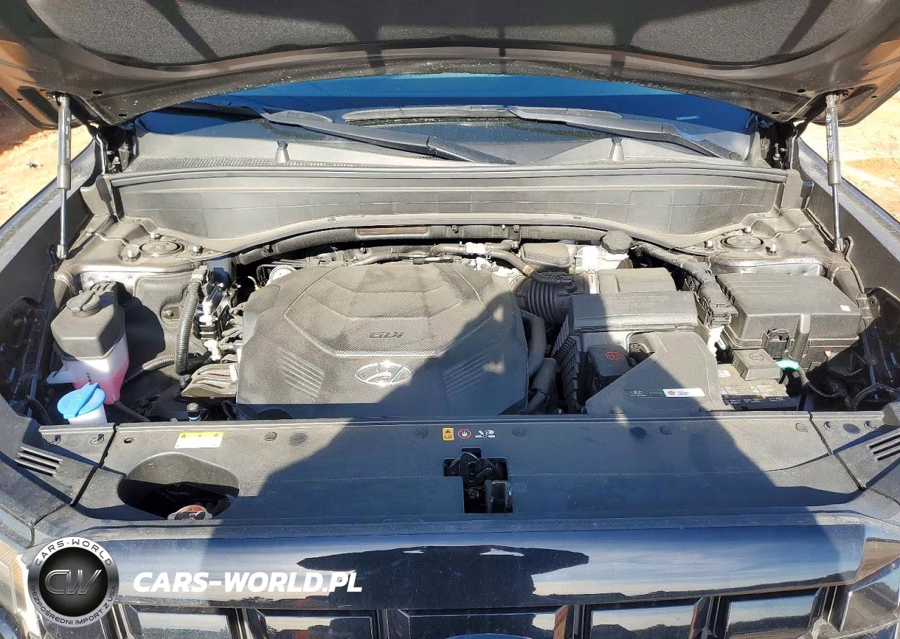2025 Hyundai Palisade Xrt VIN:KM8R3DGE8SU943106 - 12