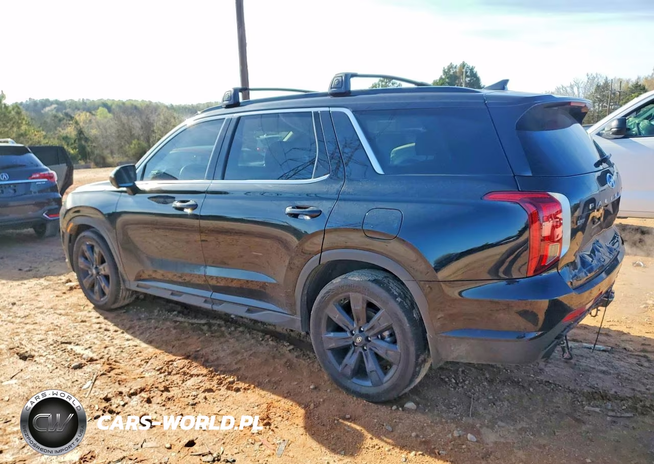 2025 Hyundai Palisade Xrt VIN:KM8R3DGE8SU943106 - 2