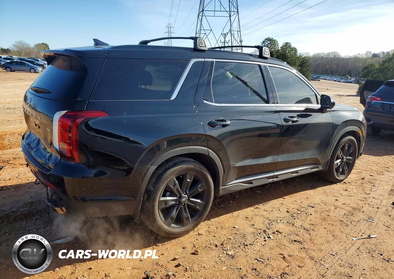 2025 Hyundai Palisade Xrt VIN:KM8R3DGE8SU943106 - 3