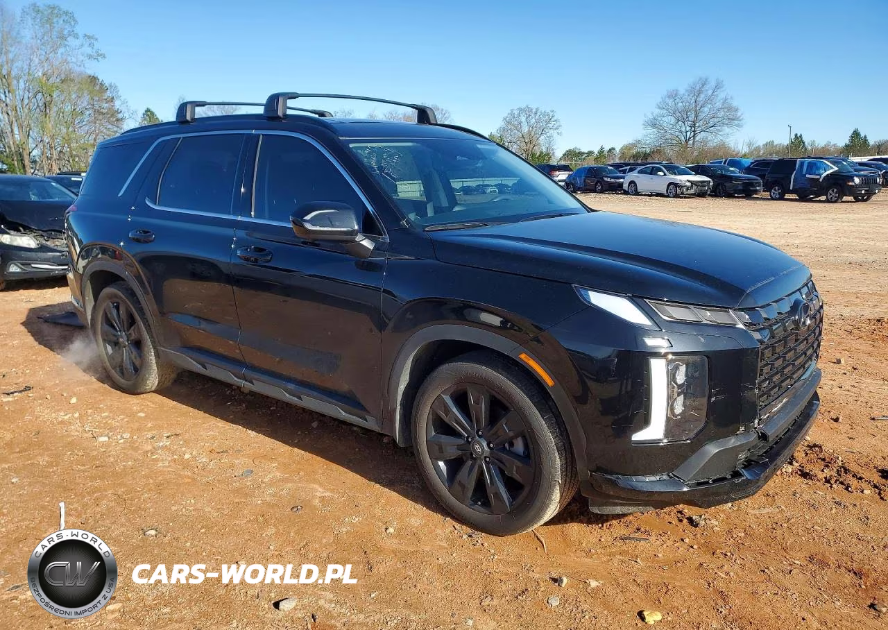 2025 Hyundai Palisade Xrt VIN:KM8R3DGE8SU943106 - 4