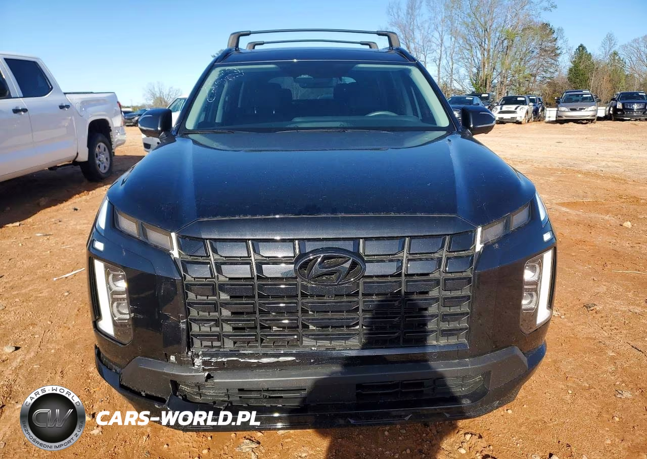 2025 Hyundai Palisade Xrt VIN:KM8R3DGE8SU943106 - 5