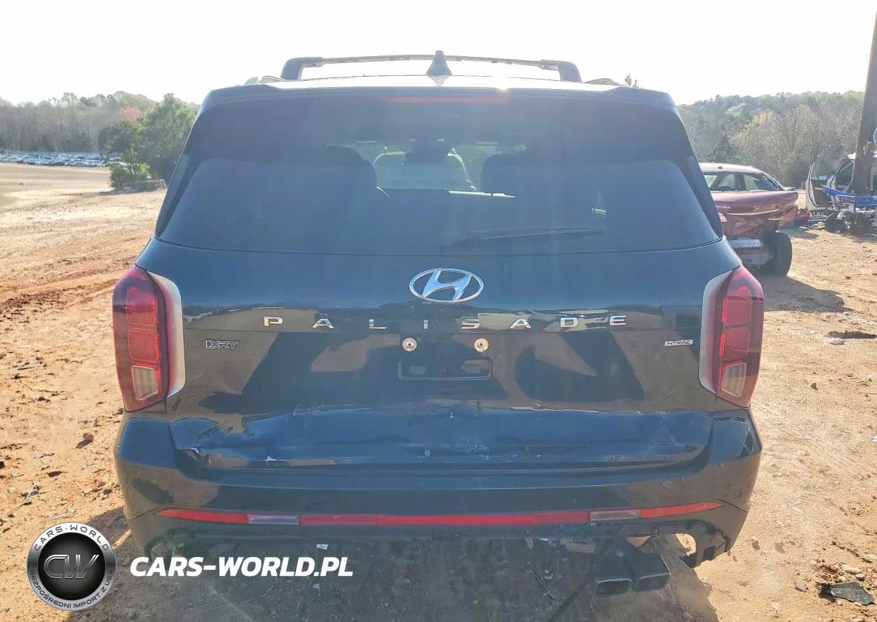 2025 Hyundai Palisade Xrt VIN:KM8R3DGE8SU943106 - 6